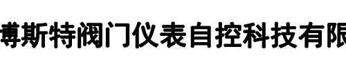 BORST博斯特阀门(登封市分公司)