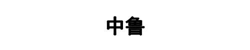 中鲁商贸(河南省分公司)