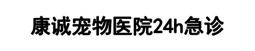 康诚宠物医院(郑州市分公司)