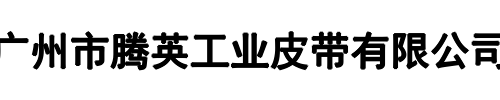 腾英工业皮带(自贡市分公司)