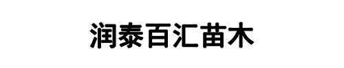 润泰百汇(河南省分公司)