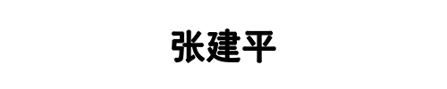 张建平(登封市分公司)