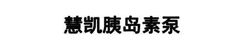 慧凯胰岛素泵(卢氏县分公司)