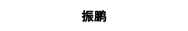振鹏建筑(河南省分公司)