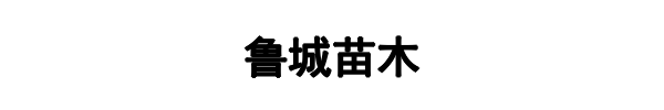 鲁诚苗木(武陵区分公司)