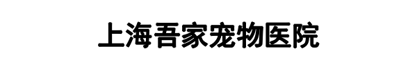 熊兆虎(河源市分公司)