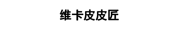 皮皮匠(二七区分公司)
