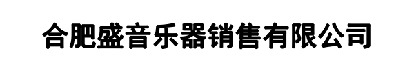 盛音乐器(衡阳市分公司)