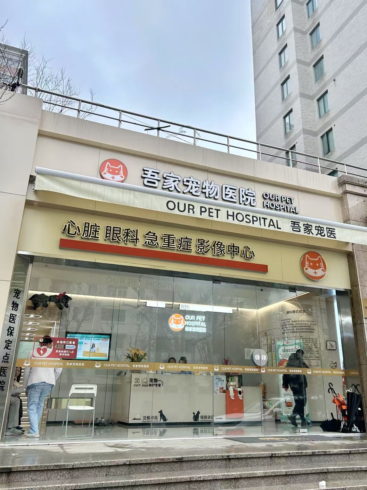 狗狗绝育