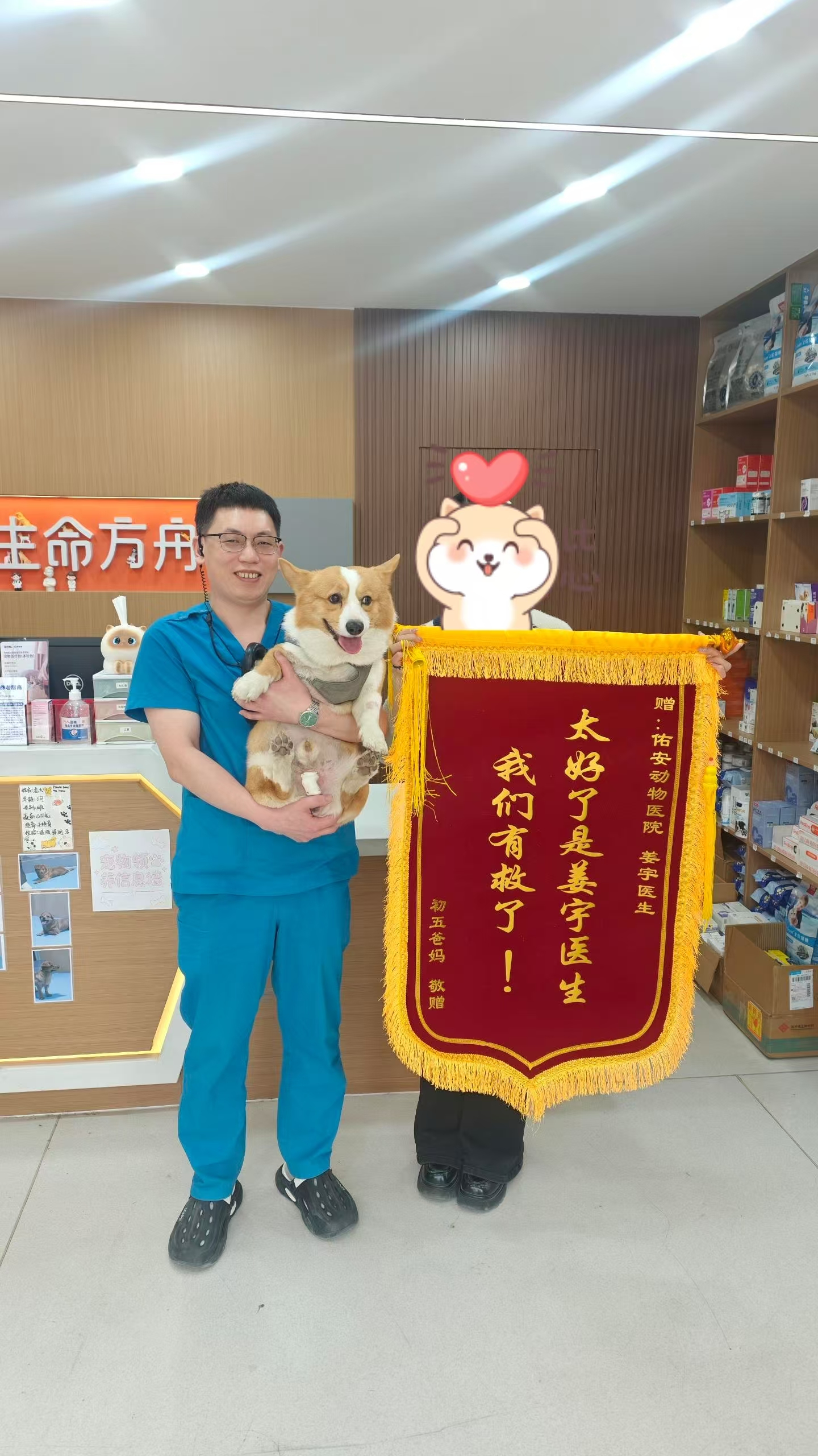 宠物绝育