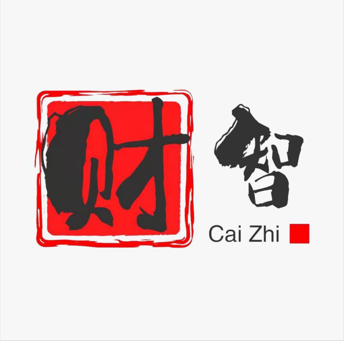 一般纳税人记账